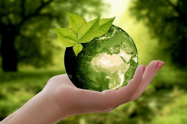 O que é Desenvolvimento Sustentável e 5 práticas sustentáveis para um mundo melhor